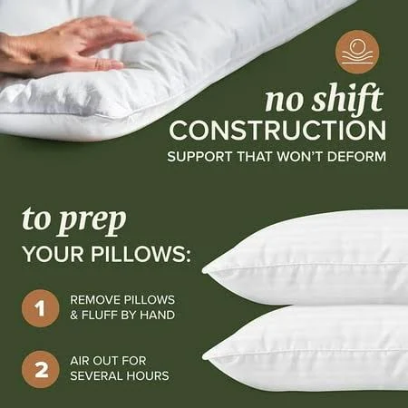 Best Pillows For Allergics 2024
